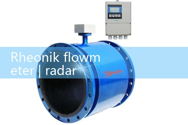 Rheonik flowmeter